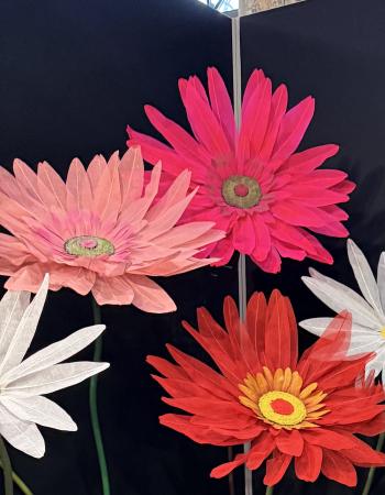 Gerbere tessuto Olga BigFlowers 